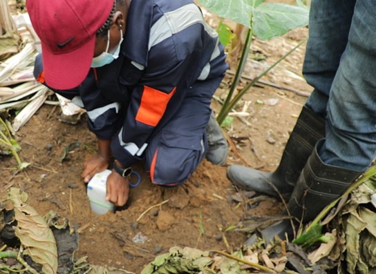 Menxons field technician placing a geophysical sensor node during resource data acquisition